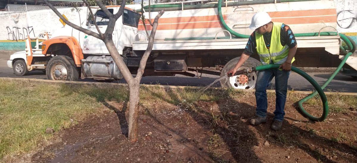 Luciernaga noticias | Secma cuida la super...