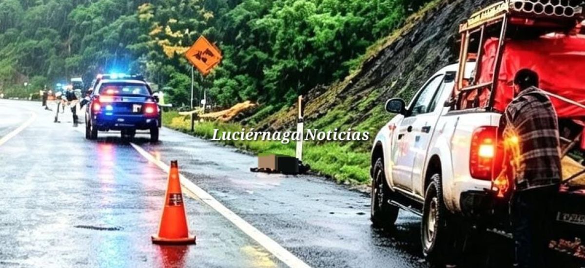 Luciernaga noticias | Mv3re hombre atropel...