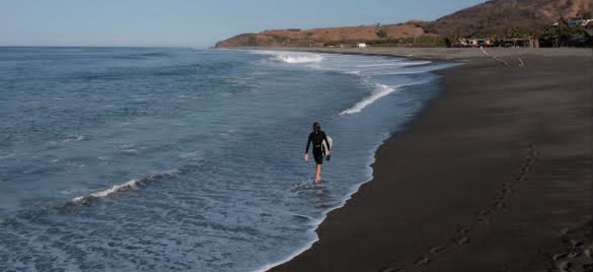 Luciernaga noticias | Bedolla: Playas limp...