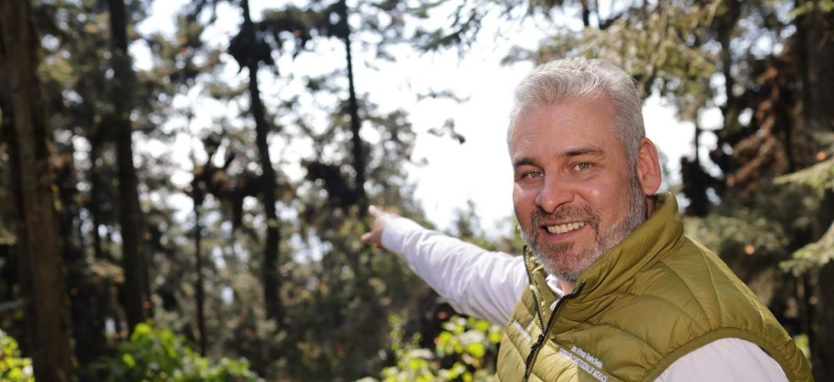 Luciernaga noticias | Michoacán logra erra...