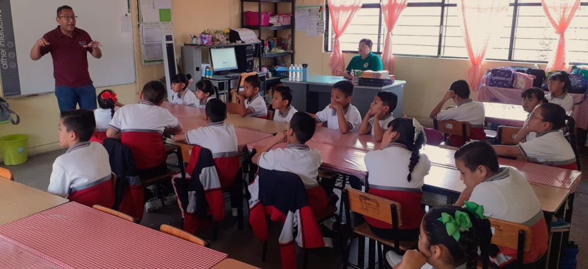 Luciernaga noticias | Docentes de todo Mic...