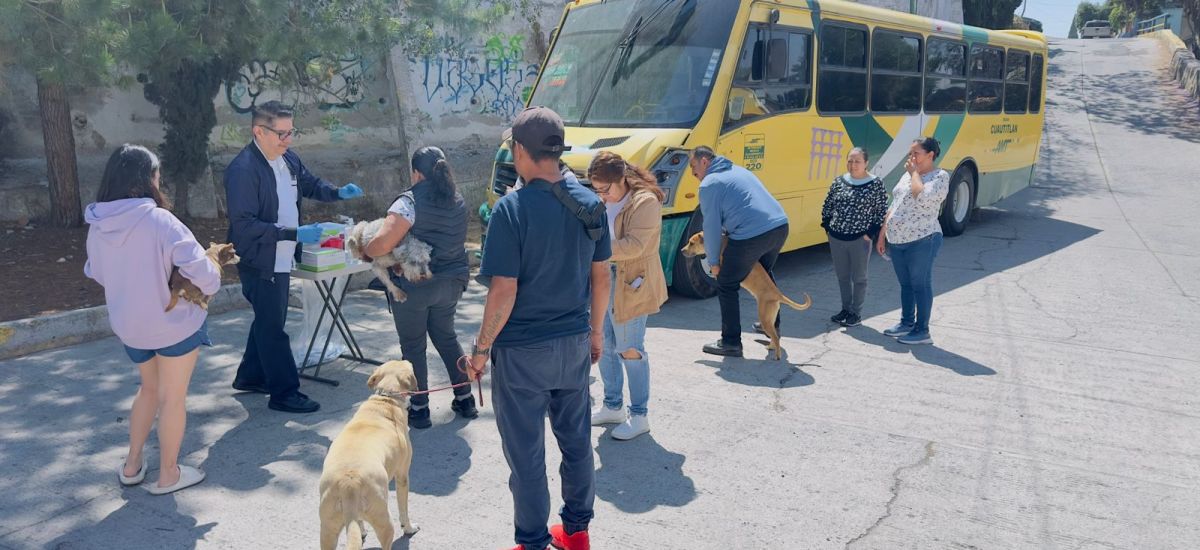 Luciernaga noticias | V4cun4r a tu mascota...